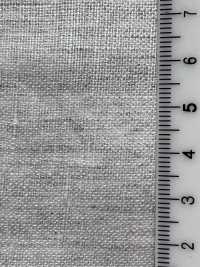 SBA5120 L21/1 French Linen Chambray[Textile / Fabric] SHIBAYA Sub Photo