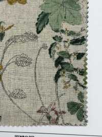 8026-1790-1 Linen Loomstate Natural Garden[Textile / Fabric] HOKKOH Sub Photo