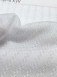 PPM-4 [Lining] Sub Photo