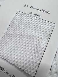 800 [Lining] Sub Photo