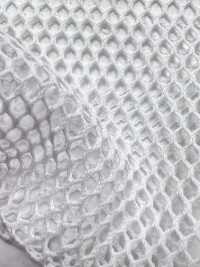 T800 [Lining] Sub Photo