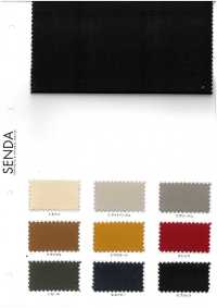 422 Galleon No. 8 Class Canvas Twill[Textile / Fabric] SENDA Sub Photo