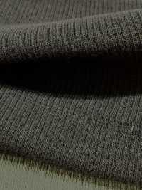 1078651 ALBINI RETWIST Spandex TERECO Rib Fabric[Textile / Fabric] TAKISADA NAGOYA Sub Photo