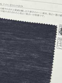 52372 Rayon/Nylon Larrieu Sheer Cloth[Textile / Fabric] SUNWELL Sub Photo