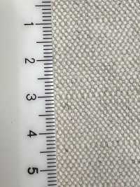 TP014 Sunny[Textile / Fabric] TOPRUN Sub Photo