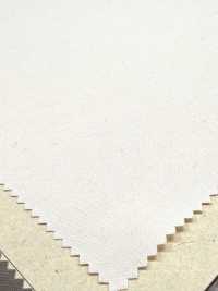 BD4862 High-density, Compact, High-density Poplin, Vintage Wash + Fluorine-free, Water-repellent.[Textile / Fabric] COSMO TEXTILE Sub Photo