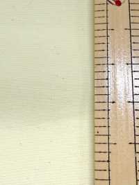FS003001A Tussar(Ny7OD × Ny160D) Water-repellent × Acrylic Coating[Textile / Fabric] Sub Photo