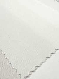 52720 Phillowa® 80/2 Broadcloth[Textile / Fabric] Kuwamura Textile Sub Photo