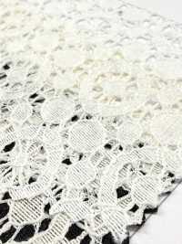 72903 Tamascus Neo[Textile / Fabric] Parika Sub Photo