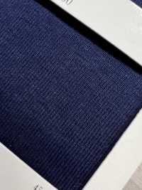 F4200 40/2 FURISU F4200[Rib Knit] NEXT30 Sub Photo