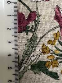 28120 Linen Loomstate Print, Angel Soft Finish[Textile / Fabric] SUNWELL Sub Photo