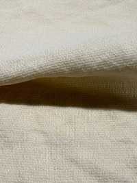 BC1867 Leno Weave Weave Dot Mesh[Textile / Fabric] COSMO TEXTILE Sub Photo