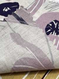 7027-730-1 CL Broadcloth Flower[Textile / Fabric] HOKKOH Sub Photo