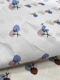 7027-616-1 60 Lawn 9088 Cherry Dot[Textile / Fabric] HOKKOH Sub Photo
