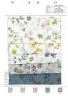 7027-630-2 80 Lawn Miracle Wave Botanical Print