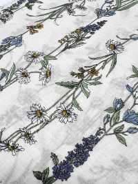 3027-650-1 60 Lawn Stripe Floral[Textile / Fabric] HOKKOH Sub Photo