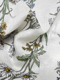 3027-650-1 60 Lawn Stripe Floral[Textile / Fabric] HOKKOH Sub Photo