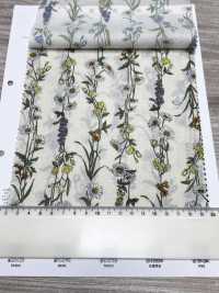 3027-650-1 60 Lawn Stripe Floral[Textile / Fabric] HOKKOH Sub Photo