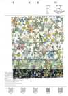3027-650-4 60 Lawn Pop Flowers