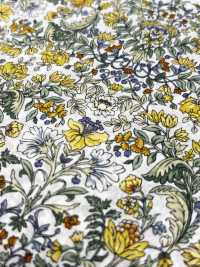 4027-670-3 Laclaw Botanical Botanical Pattern[Textile / Fabric] HOKKOH Sub Photo