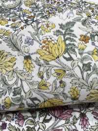 4027-670-3 Laclaw Botanical Botanical Pattern[Textile / Fabric] HOKKOH Sub Photo