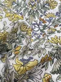 4027-670-3 Laclaw Botanical Botanical Pattern[Textile / Fabric] HOKKOH Sub Photo