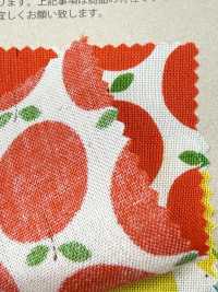 850612 Lawn Unbleached Cotton Little Pocket "Rindo"[Textile / Fabric] VANCET Sub Photo