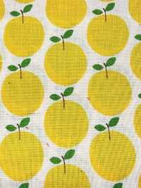 850612 Lawn Unbleached Cotton Little Pocket "Rindo"[Textile / Fabric] VANCET Sub Photo