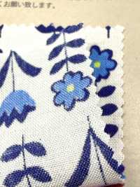 850613 Lawn Unbleached Cotton Little Pocket "Pizzicato"[Textile / Fabric] VANCET Sub Photo
