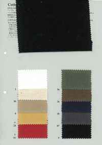 PSW4035 Cotton/Hemp Back Weave[Textile / Fabric] KOYAMA Sub Photo