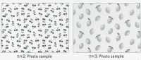 SP2650 Fruits Garden Oxford (Roll)[Textile / Fabric] COSMO TEXTILE Additional Images