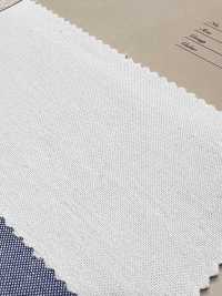 INDIA-225 Selvedge Oxford[Textile / Fabric] Arinobe Shoten Additional Images
