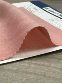 T43558 Polyester Suede < TORAY Tetoron (Polyurethane Finish)>[Textile / Fabric] Kumoi Beauty Additional Images
