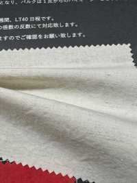 FJ430000 HIYORI Cotton/Linen Typewriter Cloth Hamakaze Weave[Textile / Fabric] Fujisaki Textile Additional Images
