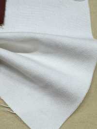 BD7677-P German Duck Bio Wash Finish[Textile / Fabric] COSMO TEXTILE Additional Images