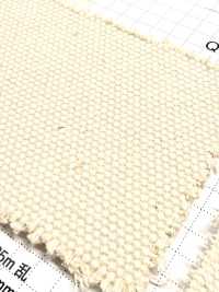 FKB01 Fujikinbai Cotton No. 1 Canvas Greige[Textile / Fabric] Fujikinbai Additional Images