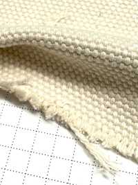 FKB01 Fujikinbai Cotton No. 1 Canvas Greige[Textile / Fabric] Fujikinbai Additional Images