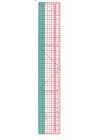 25053 Grid Ruler 30cm