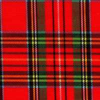 FT198 Ny Yarn-dyed Lattice Taffeta[Textile / Fabric] Masuda Sub Photo