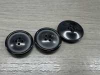 HB310 Real Buffalo Horn Horn, 4-hole Button IRIS Sub Photo