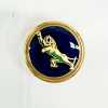 303 Japanese-made Metal Button For Suits And Jackets, Tiger Pattern, Navy Blue, Gold