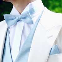 VBF-30 VANNERS Textile Used Bow Tie Dot Pattern Denim-like Jacquard Ice Blue[Formal Accessories] Yamamoto(EXCY) Sub Photo