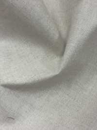 3670ES-S Linen Collar Interlining, Resin-treated Elastic, Beige, Soft. No Name Sub Photo