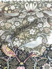LP-6 Strawberry Thief Cupra Liberty Print Lining L-top(LOISIR) Sub Photo