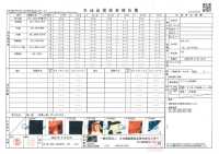 TPT1004 Iwami Kagura Print Lining Repeat Pattern Sub Photo