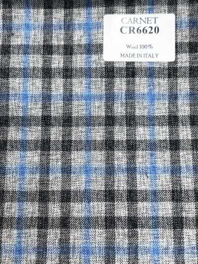 CARNET Gray X Blue Check