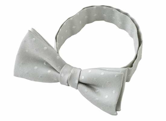 BF-940 Made In Japan Silk Bow Tie, Polka Dot, Light Gray