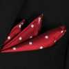 CF-600 100% Domestic Silk Pocket Square Dot Pattern Red
