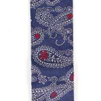 VAR-0120 BRETELLE &amp; BRACES Paisley Navy Blue[Formal Accessories] Bretelle &amp; Braces Sub Photo